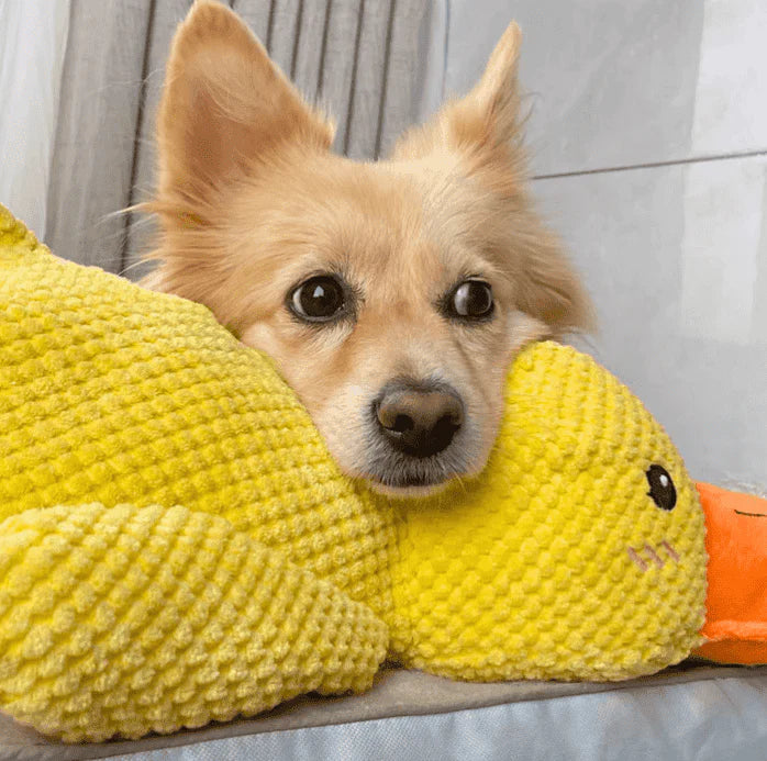 (🔥LAST DAY SALE-85% OFF) Calming Duck Toy （✔️ Non-Toxic Chew-Resistant Fabric）