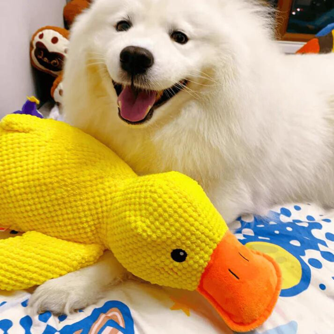 (🔥LAST DAY SALE-85% OFF) Calming Duck Toy （✔️ Non-Toxic Chew-Resistant Fabric）