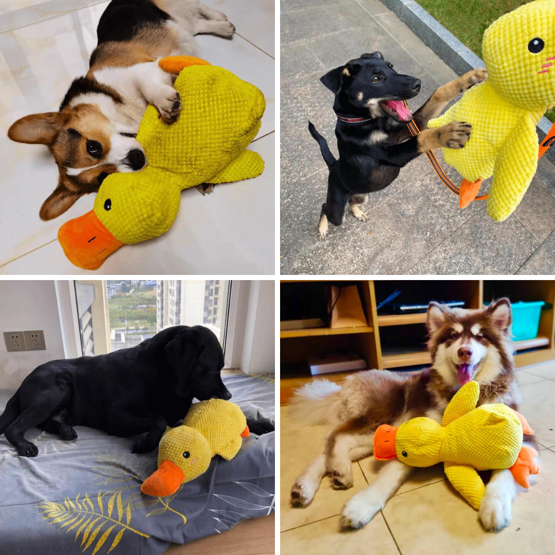 (🔥LAST DAY SALE-85% OFF) Calming Duck Toy （✔️ Non-Toxic Chew-Resistant Fabric）