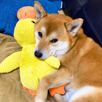 (🔥LAST DAY SALE-85% OFF) Calming Duck Toy （✔️ Non-Toxic Chew-Resistant Fabric）