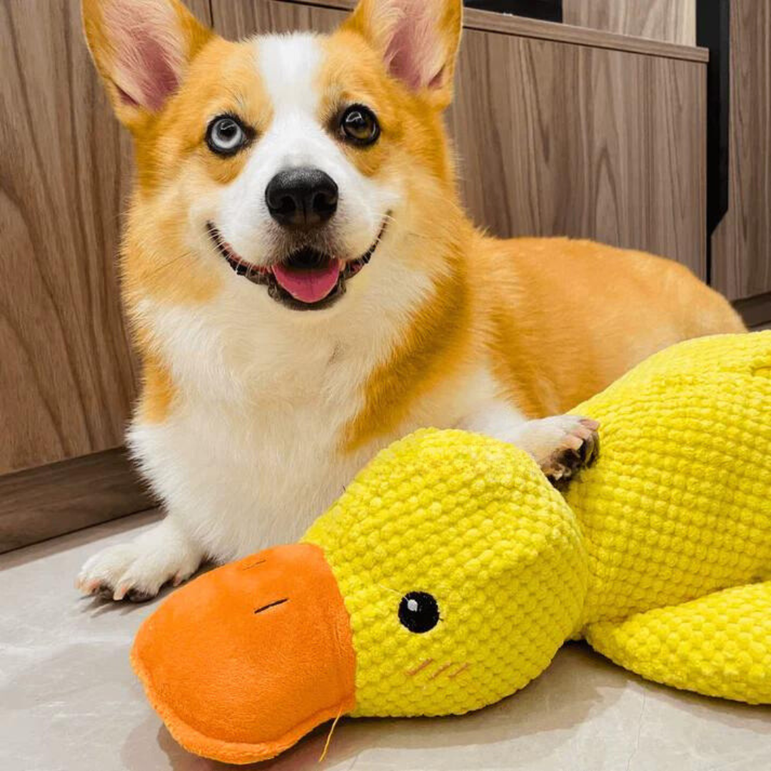 (🔥LAST DAY SALE-85% OFF) Calming Duck Toy （✔️ Non-Toxic Chew-Resistant Fabric）